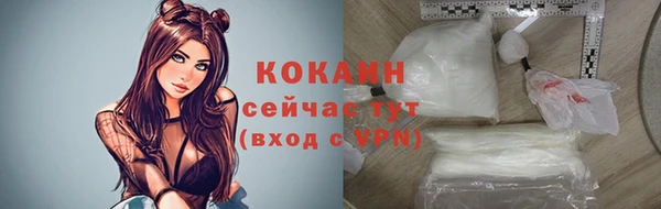 прущий лед Алзамай