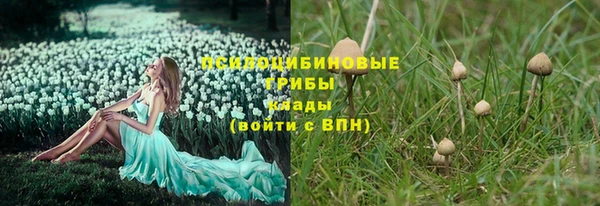 прущий лед Алзамай