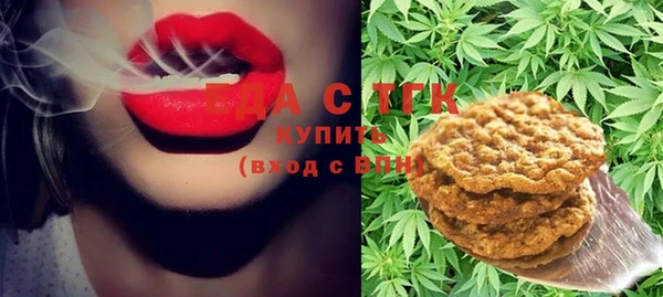 прущий лед Алзамай
