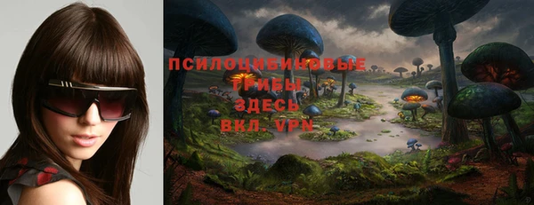 первитин Алексеевка